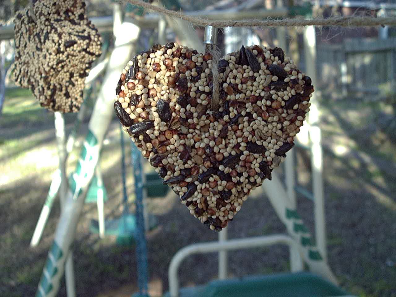 Little Heart